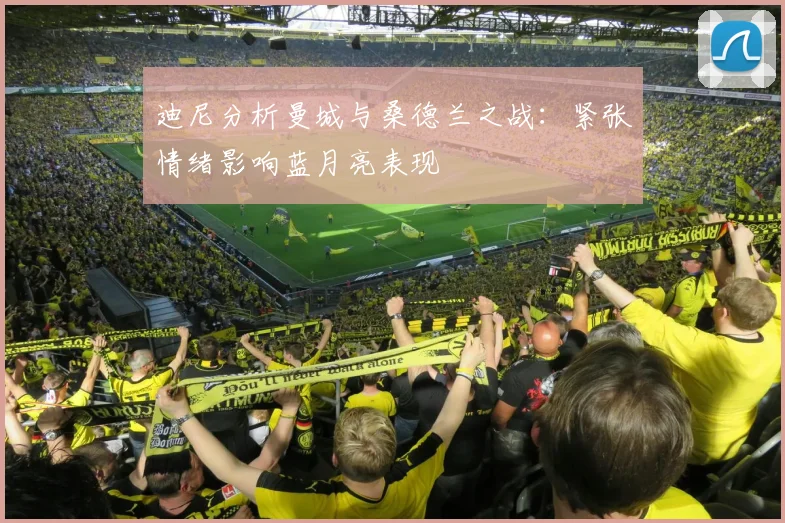 迪尼分析曼城与桑德兰之战：紧张情绪影响蓝月亮表现